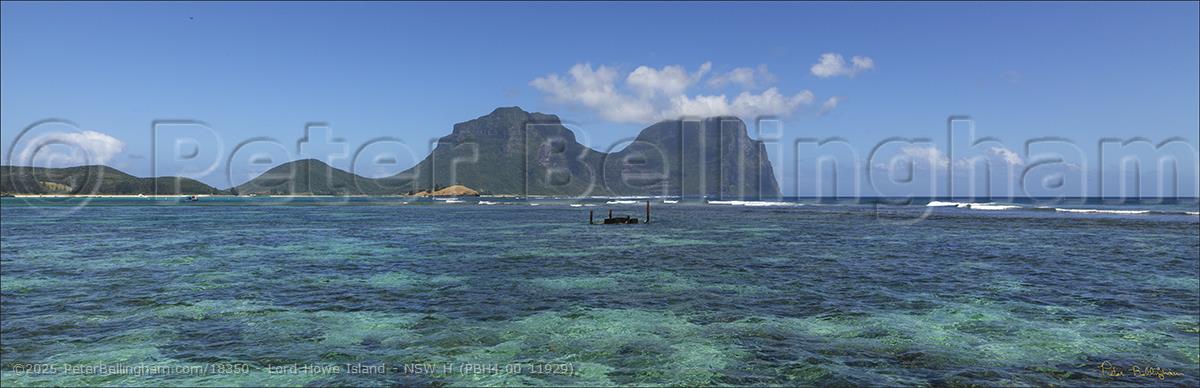 Peter Bellingham Photography Lord Howe Island - NSW H (PBH4 00 11929)